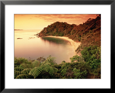 Whale Bay, Northland, New Zealand by Doug Pearson Pricing Limited Edition Print image