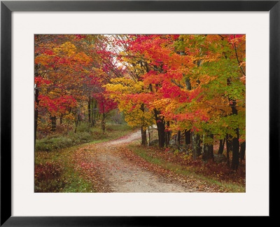 Vermont Country Road In Fall, Usa by Charles Sleicher Pricing Limited Edition Print image