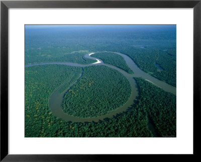 Amazon River, Amazon Jungle, Aerial View, Brazil by Steve Vidler Pricing Limited Edition Print image