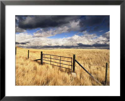 Fort Macleod, Alberta, Canada by Walter Bibikow Pricing Limited Edition Print image