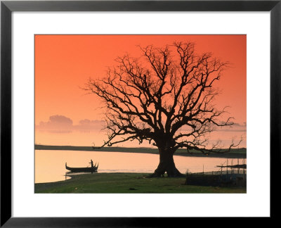 Bare Tree And Boat On Edge Of Taungthaman Lake At Sunrise, Amarapura, Mandalay, Myanmar (Burma) by Anders Blomqvist Pricing Limited Edition Print image