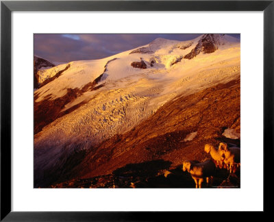 Schlaten Glacier On Grossvenediger Mountain From Neue Prager Hut, Hohe Tauren Nat. Park Austria by Witold Skrypczak Pricing Limited Edition Print image