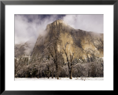 El Capitan In Winter With Black Oaks by Douglas Steakley Pricing Limited Edition Print image