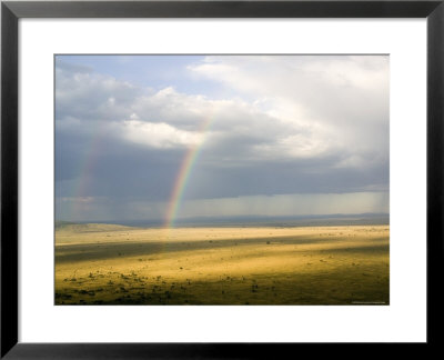Rainbows Form Over The Serengeti Plains, Tanzania by Michael Fay Pricing Limited Edition Print image
