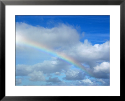 Rainbow In A Cloudy Sky, Hawaii by Stacy Gold Pricing Limited Edition Print image
