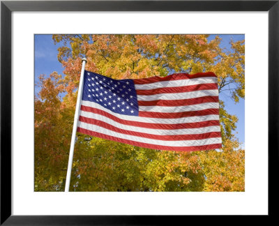 Old Glory Unfurls Against Autumn Colors, Waldorf, Maryland by Stephen St. John Pricing Limited Edition Print image