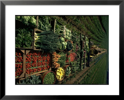 Farmer Hugh Tuttle Tractoring Fresh Produce From 50 Acre Farm Through Field To His Roadside Store by John Dominis Pricing Limited Edition Print image