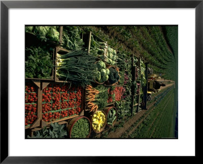 Farmer Hugh Tuttle Tractoring Fresh Produce From 50 Acre Farm Through Field To His Roadside Store by John Dominis Pricing Limited Edition Print image