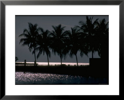 Moonlight Reflected On The Water At Key Biscayne, Florida by George Silk Pricing Limited Edition Print image