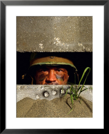 Soldier In Bunker by Stocktrek Images Pricing Limited Edition Print image