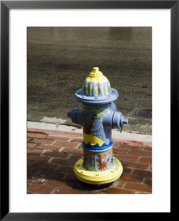 Painted Fire Hydrant, Key West, Florida, Usa by R H Productions Pricing Limited Edition Print image