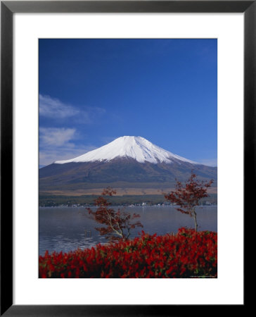 Mount Fuji, Honshu, Japan, Asia by Adina Tovy Pricing Limited Edition Print image