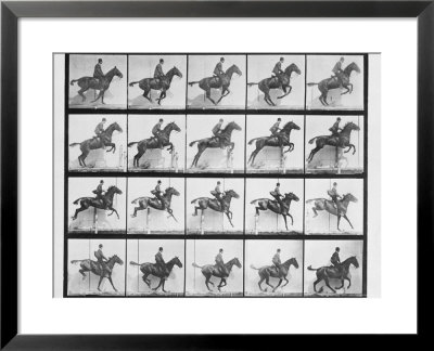 Man And Horse Jumping A Fence, Plate 640 From Animal Locomotion, 1887 by Eadweard Muybridge Pricing Limited Edition Print image