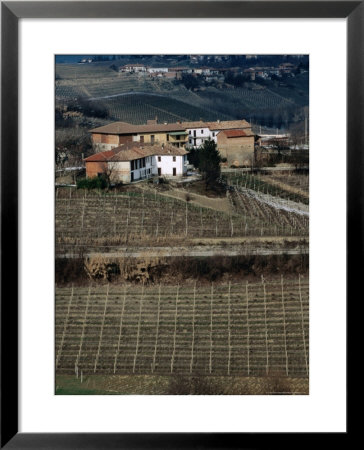Vineyards, Wineries And Hills Of Neive, Langhe District, Neive, Italy by Martin Moos Pricing Limited Edition Print image