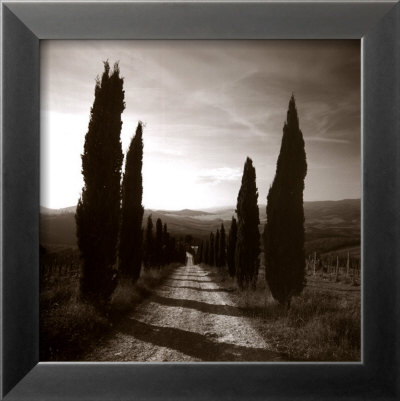 Mensano, Tuscany by Charlie Waite Pricing Limited Edition Print image
