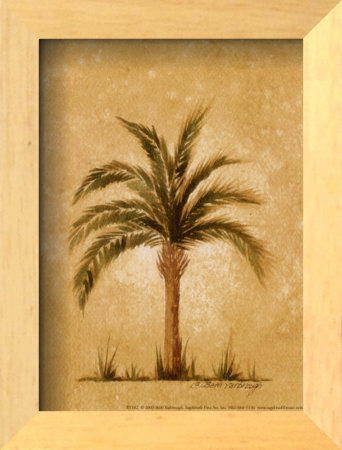Palm Breeze Ii by Beth Yarbrough Pricing Limited Edition Print image