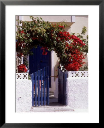 Bright Red Bougainvillea (Paper Flower) Trained In Arch Over Front Of Cottage Santorini, Greece by Erika Craddock Pricing Limited Edition Print image
