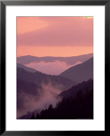 Sunset After Rain, Great Smoky Mountains National Park, Tennessee by David M. Dennis Pricing Limited Edition Print image