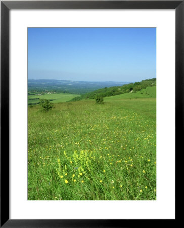 Harting Down, Sussex, Uk by Ian West Pricing Limited Edition Print image
