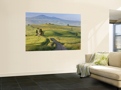 Track, San Quirico D'orcia, Val D'orcia, Tuscany, Italy by Peter Adams Pricing Limited Edition Print image