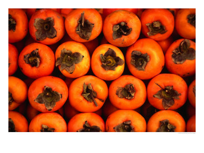 Persimmons From A Stall In The Central Market, Athens, Attica, Greece by Neil Setchfield Pricing Limited Edition Print image
