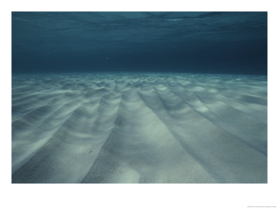 Current-Sculpted Ripples In The Sandy Sea Floor Off Of Grand Cayman by Bill Curtsinger Pricing Limited Edition Print image