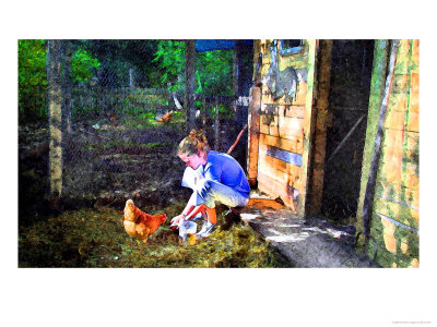 Girl Feeding A Chicken, Photo Illustration by Bruce Ando Pricing Limited Edition Print image