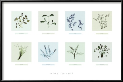 8 Herbs by Nina Farrell Pricing Limited Edition Print image