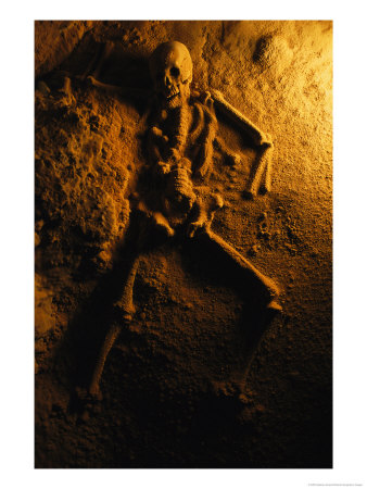 Skeleton From A Human Sacrifice Turns To Stone In A Cave In Belize by Stephen Alvarez Pricing Limited Edition Print image