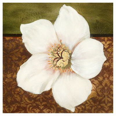 Magnolia by Tamara Wright Pricing Limited Edition Print image