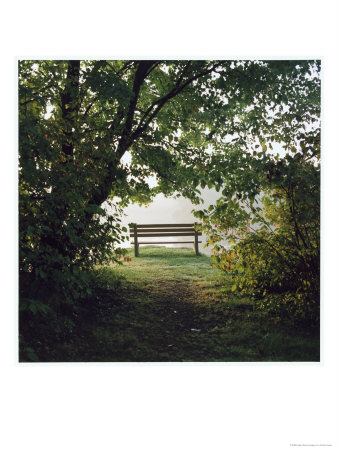 Bench On Lake, Keen Lake, Pa by Peter Ciresa Pricing Limited Edition Print image