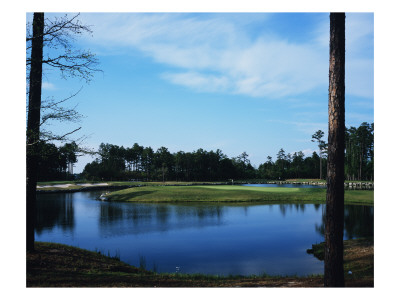 Tidewater Golf Club And Plantation by Stephen Szurlej Pricing Limited Edition Print image