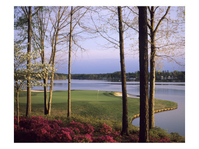 Reynolds Plantation Great Waters Golf Course, Hole 14 by Stephen Szurlej Pricing Limited Edition Print image