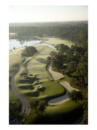 Tpc Sawgrass Stadium Course, Hole 9 by Stephen Szurlej Pricing Limited Edition Print image