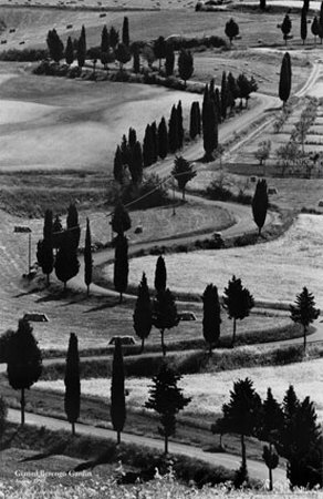 Tuscan Landscape by Gianni Berengo Gardin Pricing Limited Edition Print image