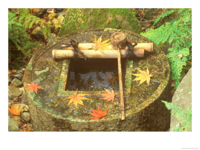 Spring For Tea Ceremony, Ryanji Temple, Kyoto, Japan by Rob Tilley Pricing Limited Edition Print image