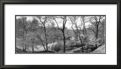 The Pond And Gapstow Bridge, Central Park, 1992 by Bruce Davidson Pricing Limited Edition Print image