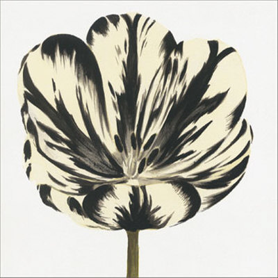 Black And White Flower by Miriam Bedia Pricing Limited Edition Print image