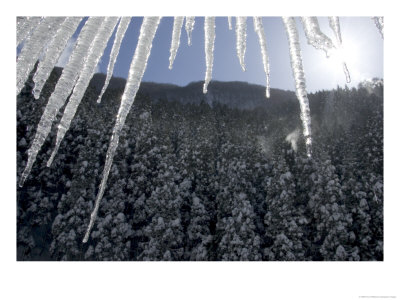 Tight Shot Of Icicles With Mountains In Background by Roy Toft Pricing Limited Edition Print image