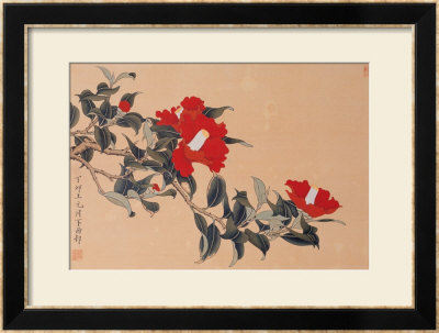Red Cap Flower by Hsi-Tsun Chang Pricing Limited Edition Print image