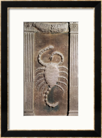 Scorpio Represented By The Scorpion by Agostino Di Duccio Pricing Limited Edition Print image