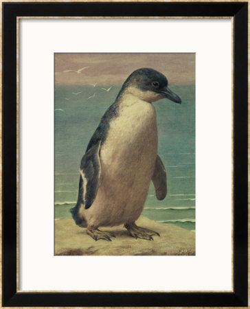 Study Of A Penguin by Henry Stacey Marks Pricing Limited Edition Print image