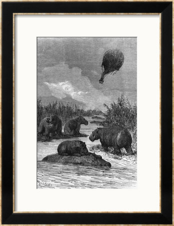 The Hippopotamus, Illustration From Five Weeks In A Balloon By Jules Verne Paris, Hetzel by Édouard Riou Pricing Limited Edition Print image