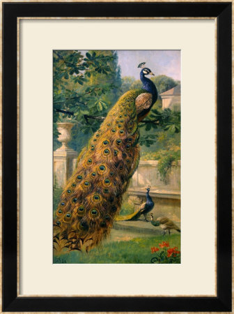 Peacocks In The Park, 1886 by Olaf August Hermansen Pricing Limited Edition Print image