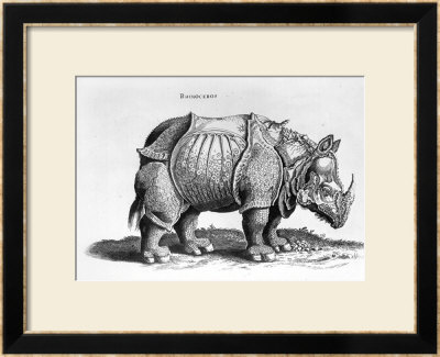 Rhinocerous, No. 76 From Historia Animalium By Conrad Gesner (1516-65) Published In July 1815 by Albrecht Dürer Pricing Limited Edition Print image