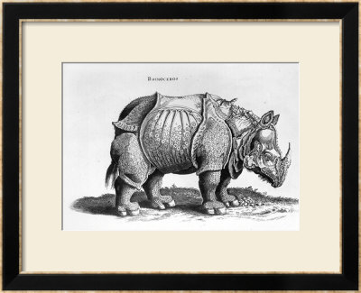 Rhinocerous, No. 76 From Historia Animalium By Conrad Gesner (1516-65) Published In July 1815 by Albrecht Durer Pricing Limited Edition Print image