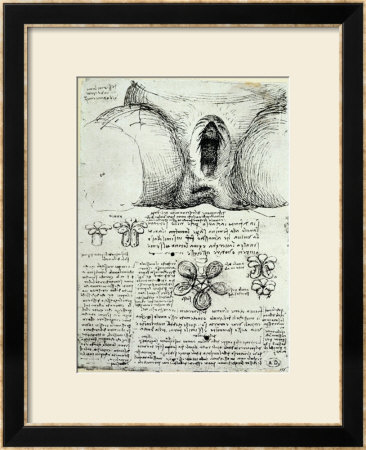 The Female Sexual Organs, Facsimile Copy by Leonardo Da Vinci Pricing Limited Edition Print image