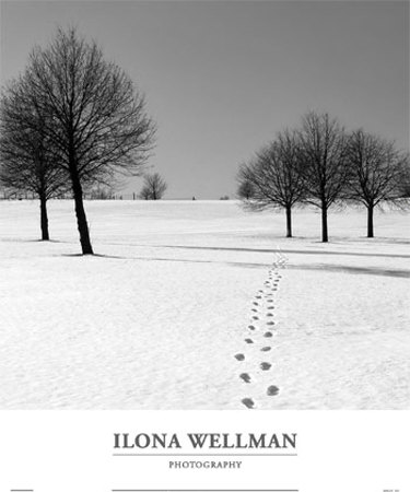 Winter Footsteps by Ilona Wellmann Pricing Limited Edition Print image