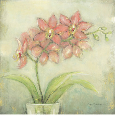 Orchid Blossom I by Eva Kolacz Pricing Limited Edition Print image