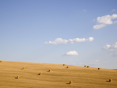 Field With Hay Rolls In Tuscany by Lilian Henglein Pricing Limited Edition Print image